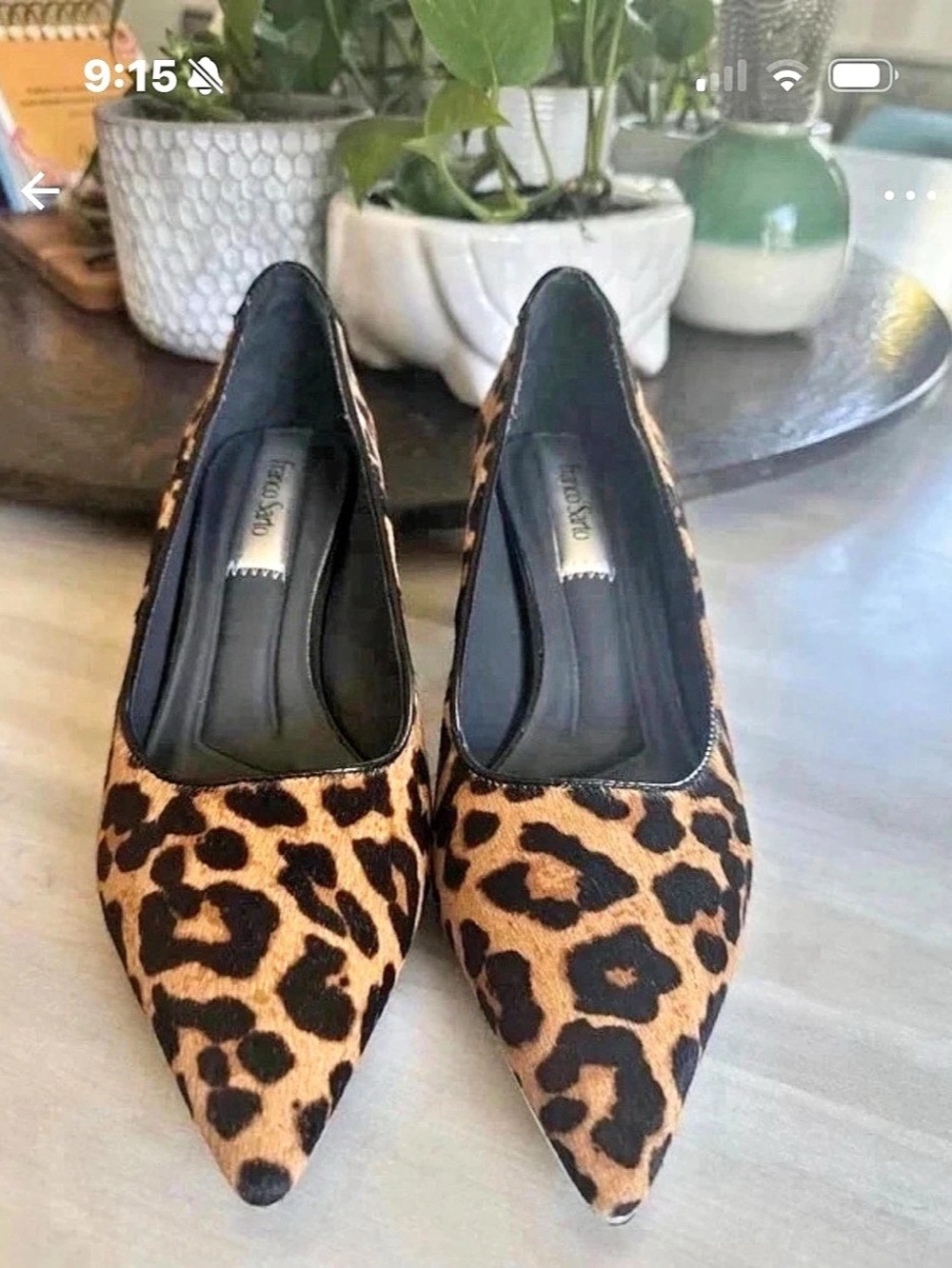 Franco Sarto Kalsa Kitten Heel Pump Leopard Print Heels